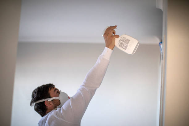 Best Professional Mold Removal  in East Shoreham, NY